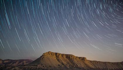 从茶园到茶桌:广佛精品茶室的选茶标准
