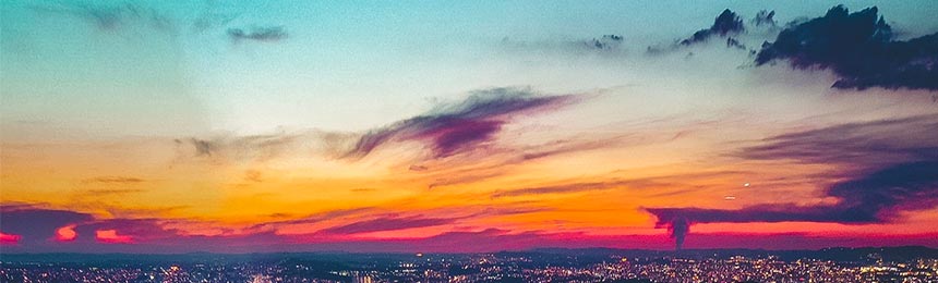 黄南茶虫网_黄南品茶